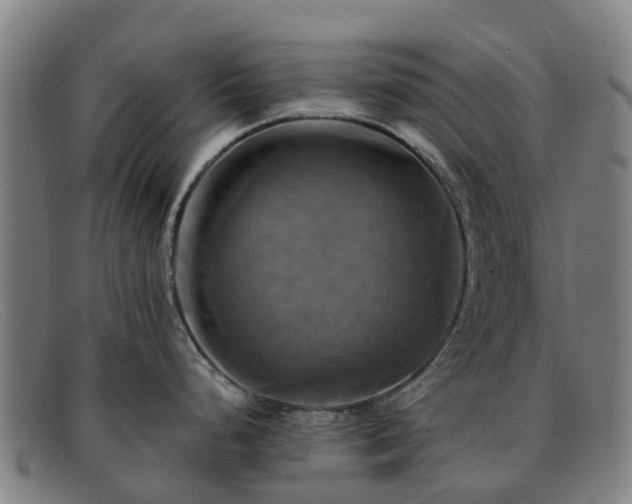 X0000091911248200709121511