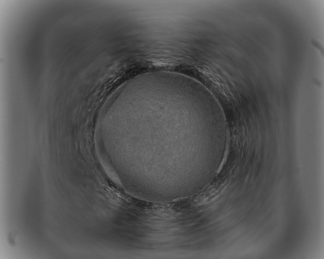 X0000091911249200709121511