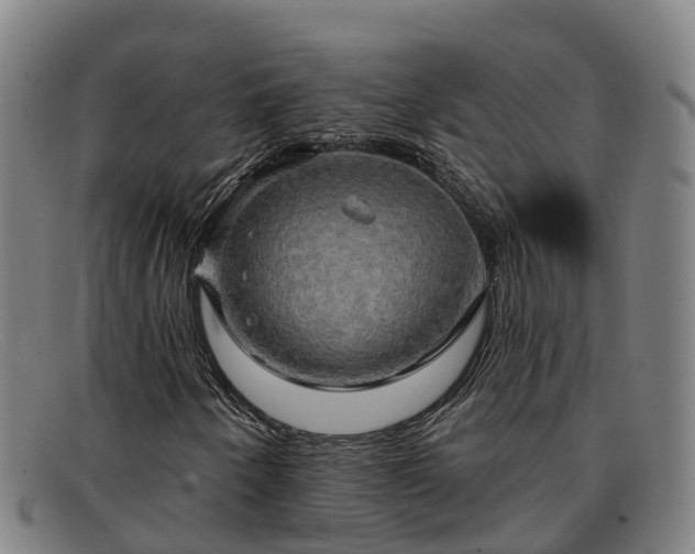 X0000091911250200709121511