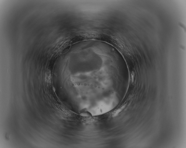 X0000091911251200709121511