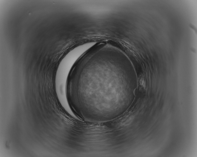 X0000091911252200709121511