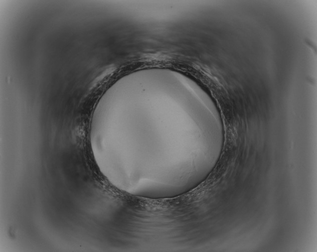 X0000091911254200709121511