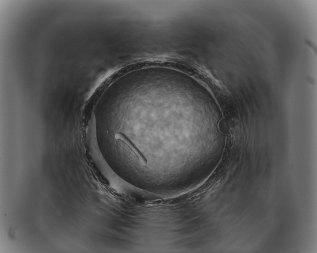 X0000091911256200709121511