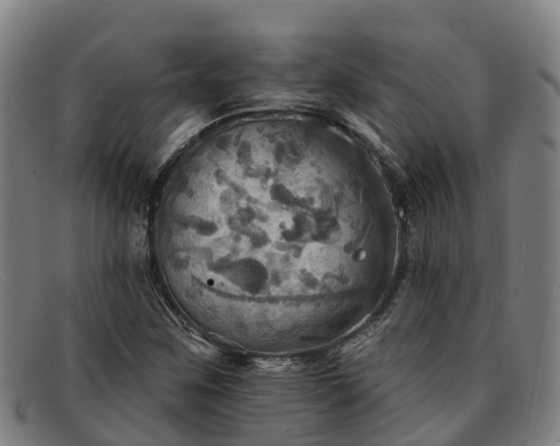 X0000091911259200709121511