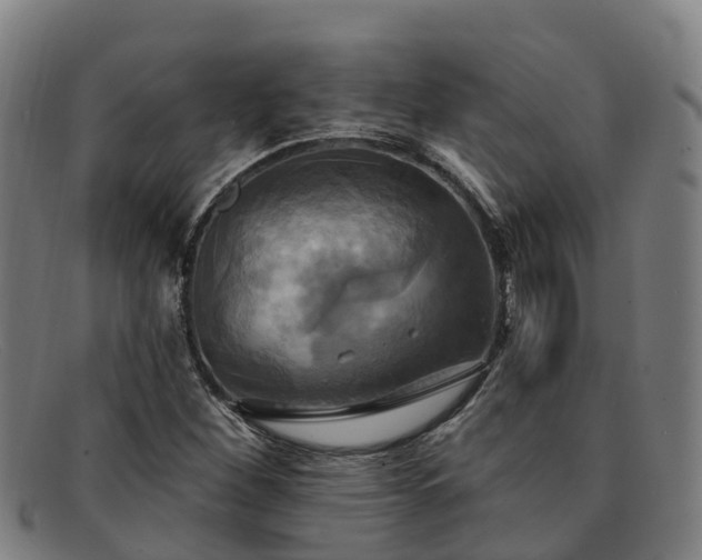 X0000091911260200709121511