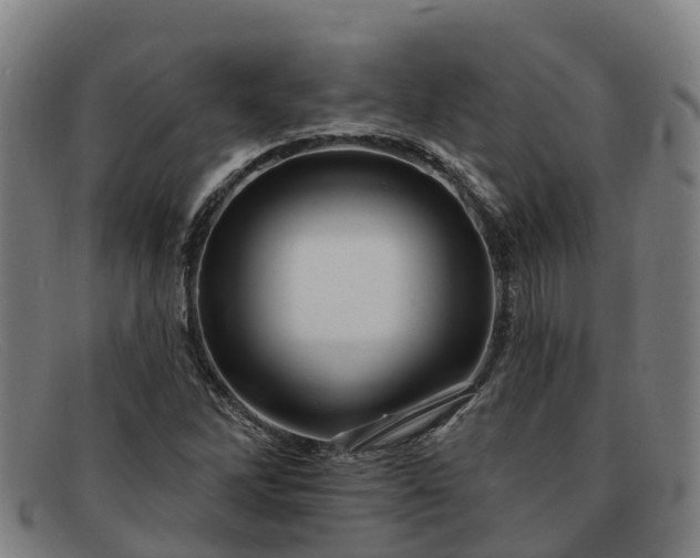 X0000091911262200709121511