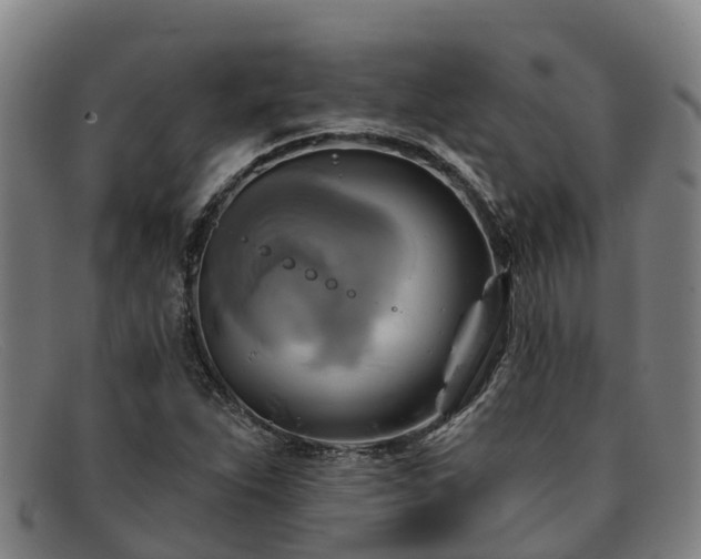 X0000091911263200709121511