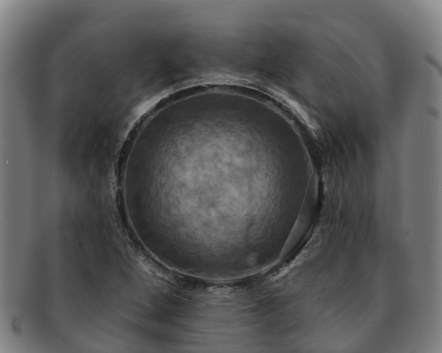 X0000091911264200709121511