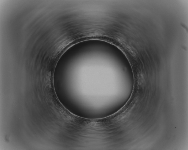 X0000091911265200709121511