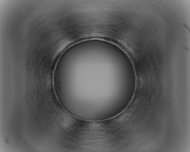 X0000091911266200709121511