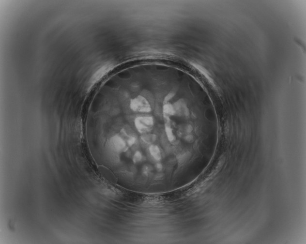 X0000091911267200709121510