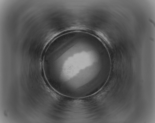 X0000091911268200709121510