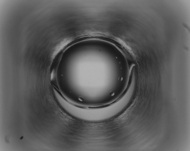 X0000091911269200709121510