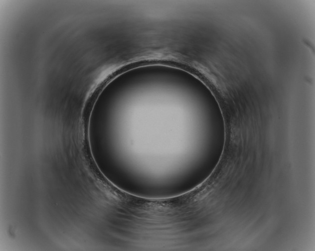 X0000091911270200709121510