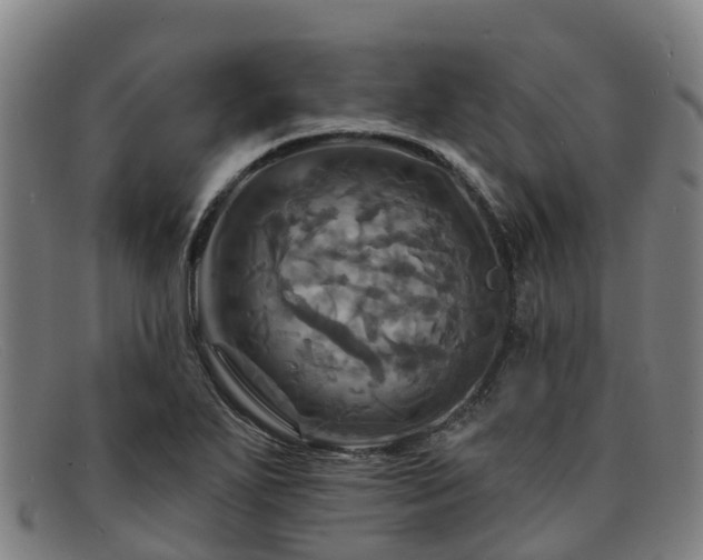 X0000091911271200709121510