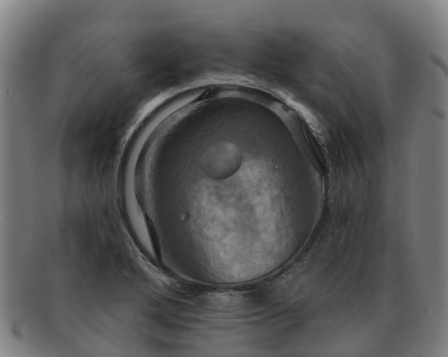 X0000091911272200709121510