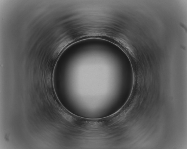 X0000091911273200709121510