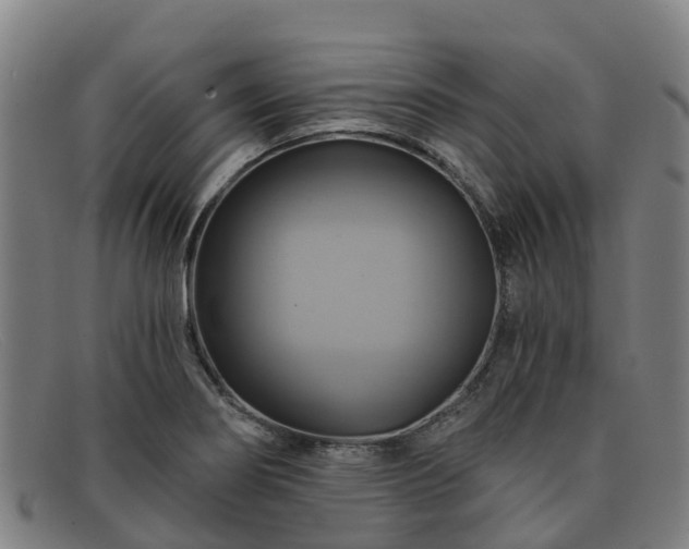 X0000091911274200709121510