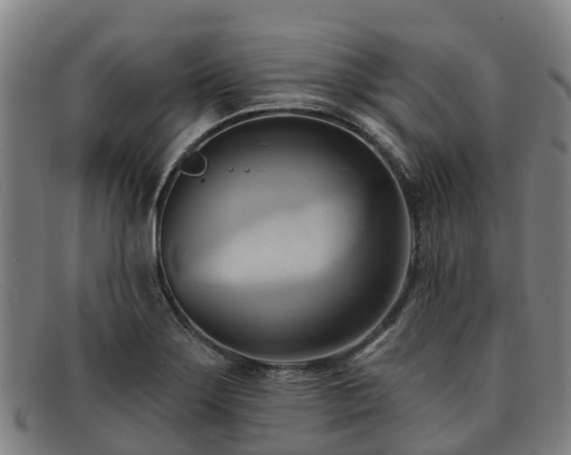 X0000091911275200709121510