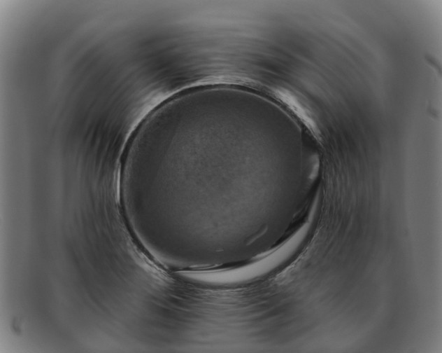 X0000091911276200709121510