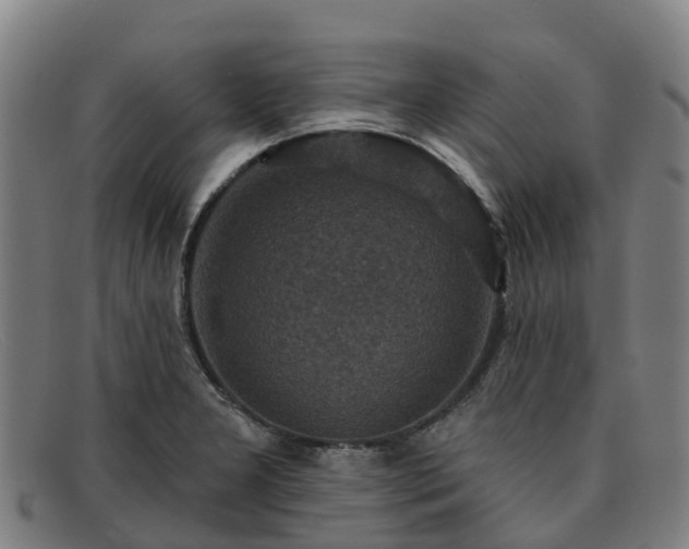 X0000091911277200709121510