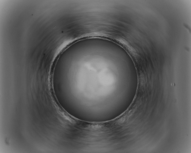 X0000091911278200709121510