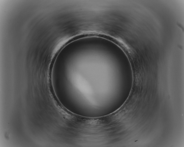 X0000091911279200709121510