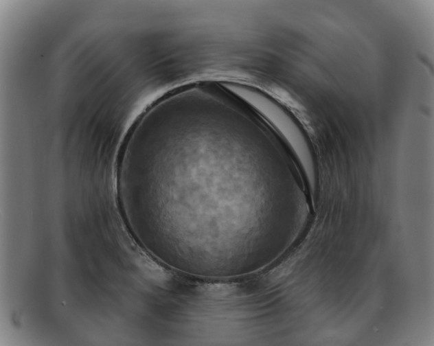 X0000091911280200709121510