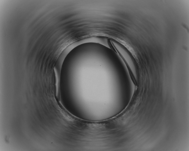 X0000091911281200709121510