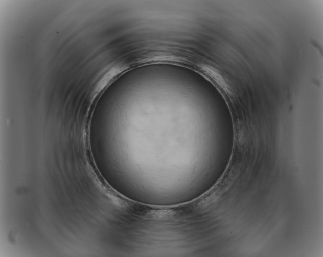 X0000091911282200709121510