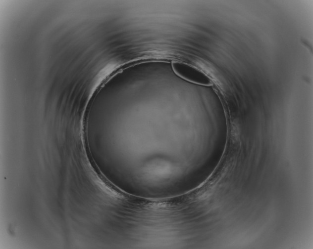 X0000091911283200709121510