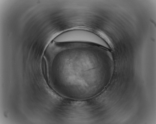 X0000091911284200709121510