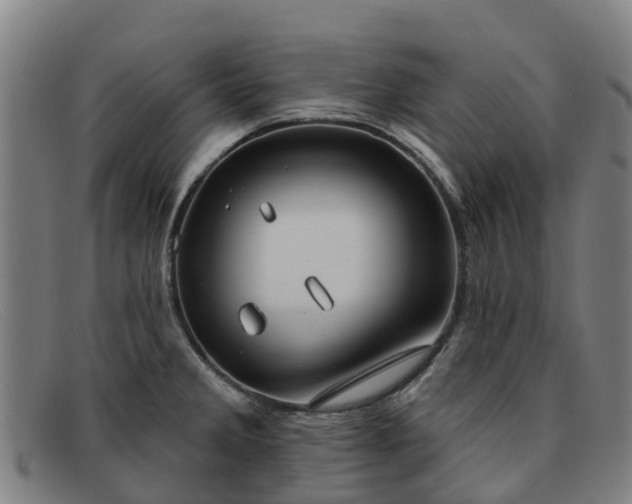 X0000091911285200709121510