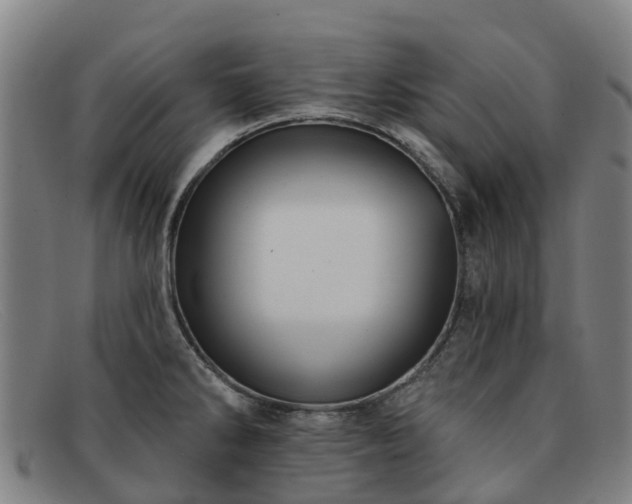 X0000091911286200709121510