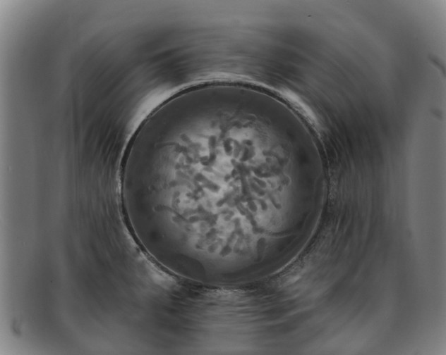 X0000091911287200709121510