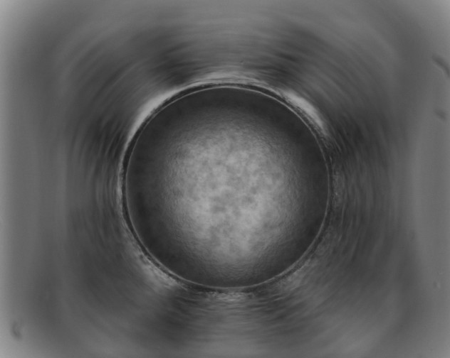 X0000091911288200709121510