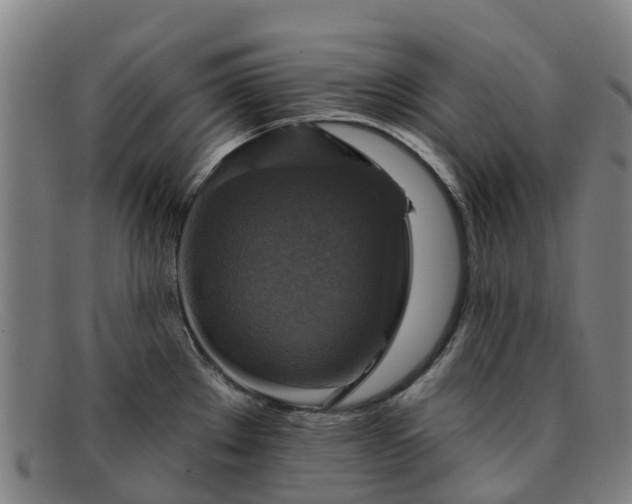 X0000091911289200709121510