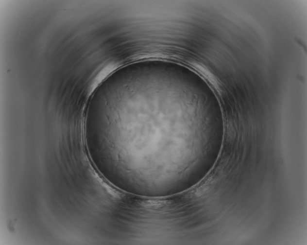 X0000091911290200709121510