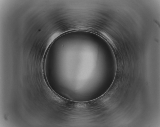 X0000091911291200709121510