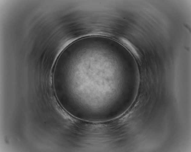 X0000091911292200709121510