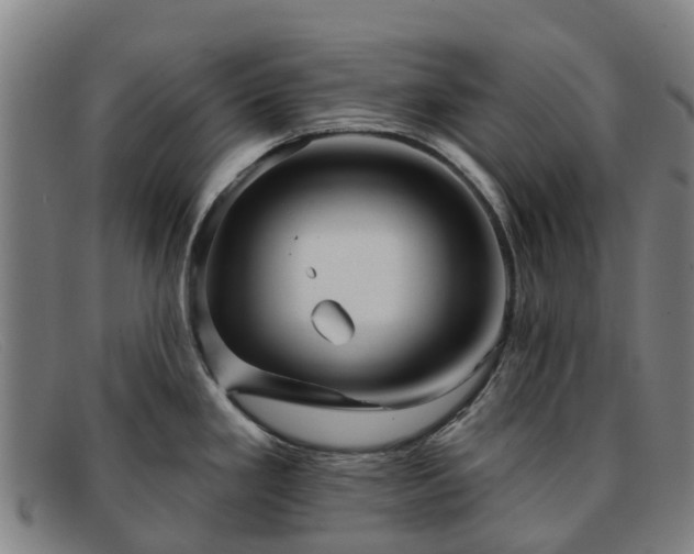 X0000091911293200709121510