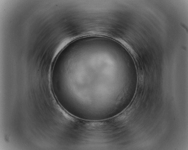 X0000091911294200709121510