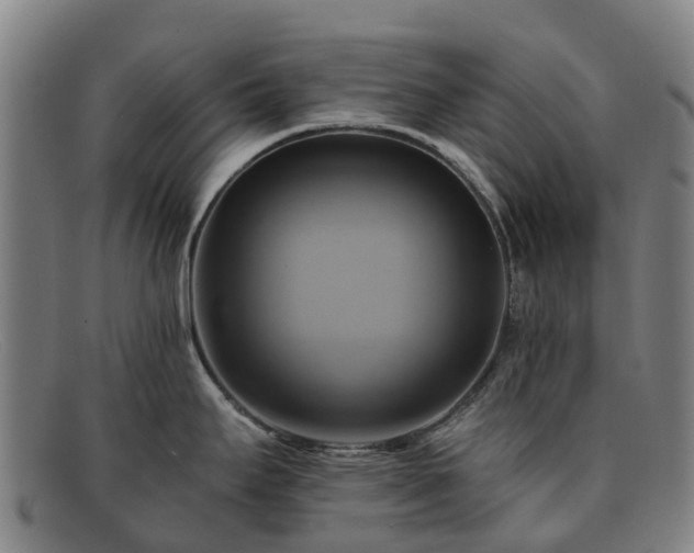 X0000091911295200709121510