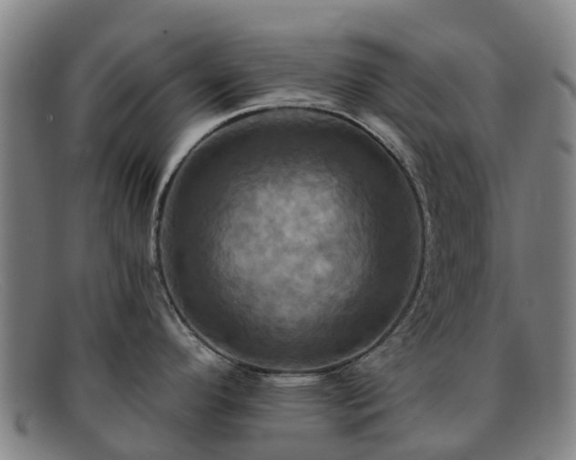 X0000091911296200709121510