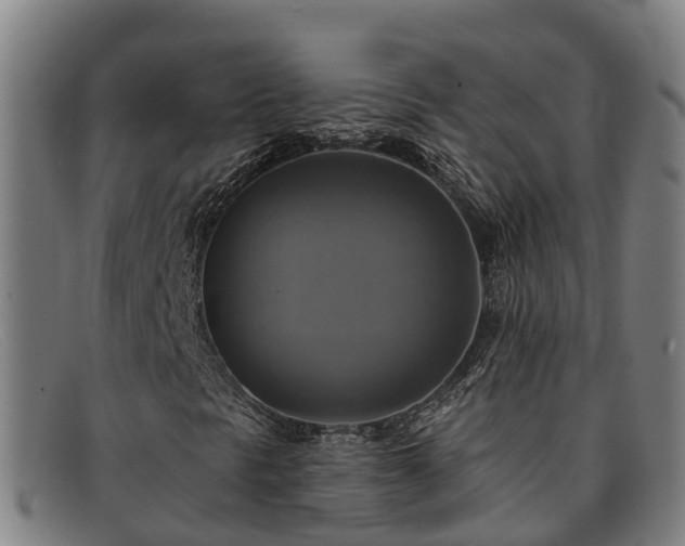 X0000091911297200709121510