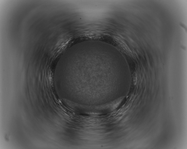 X0000091911298200709121510