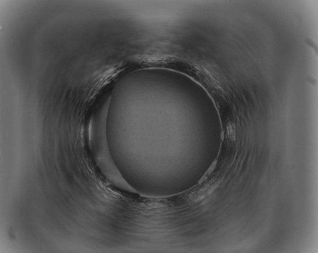 X0000091911300200709121510