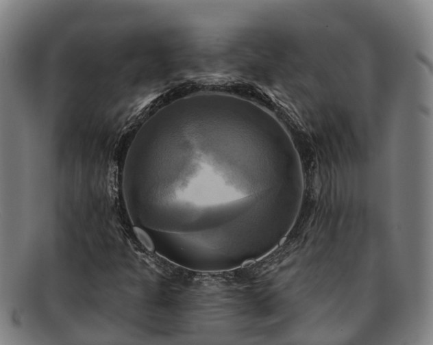 X0000091911301200709121510