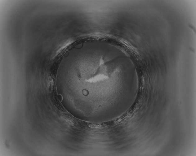 X0000091911302200709121510