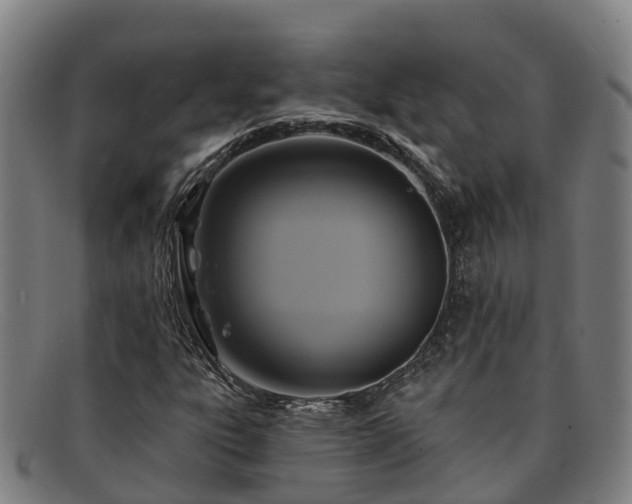 X0000091911303200709121510